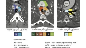 Staging Laminate Reference Cards, 8th Edition Cover
