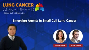 Emerging Agents in Small Cell Lung Cancer