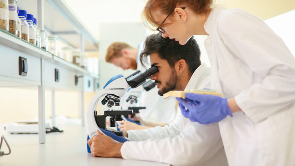 Two researchers one is looking in a microscope the other is looking over their shoulder