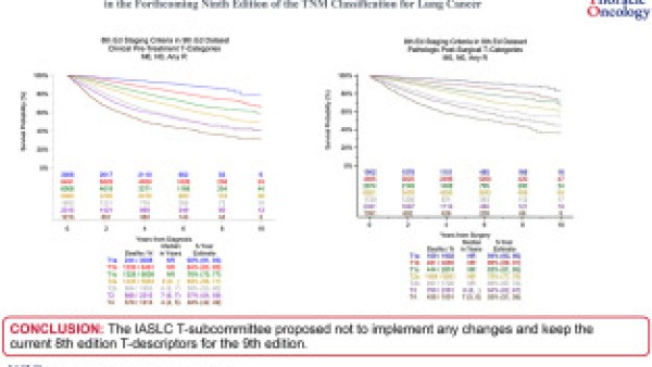 T-Wall Descriptors chart
