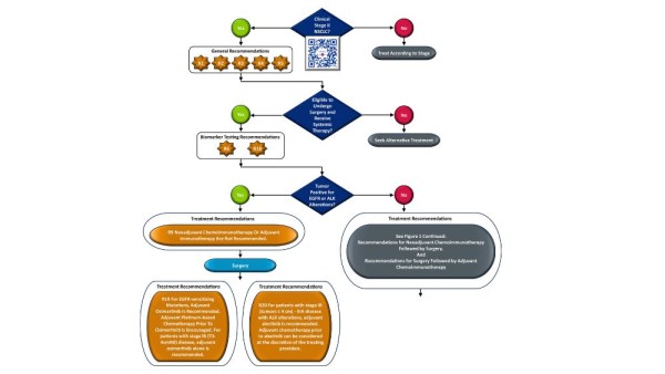 Neoadjuvant and Adjuvant Treatments for Early-Stage Resectable NSCLC