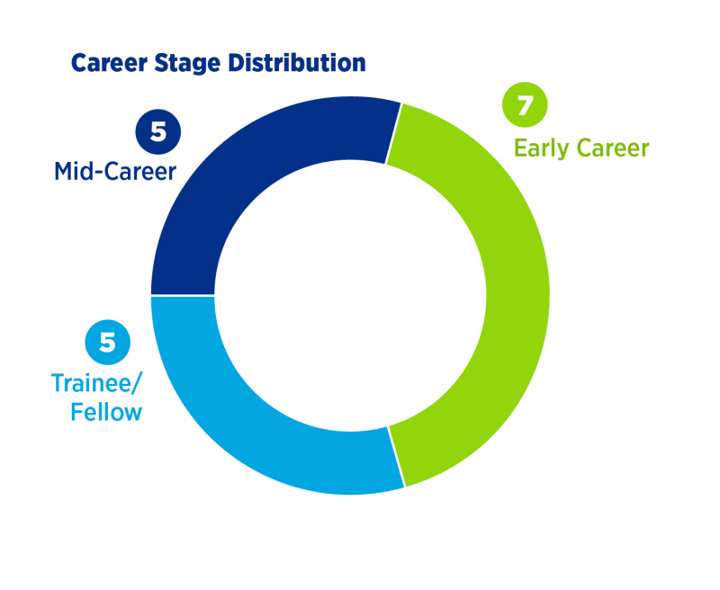 Career Stage Distribution