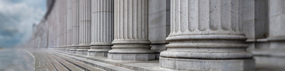 Governance Committees