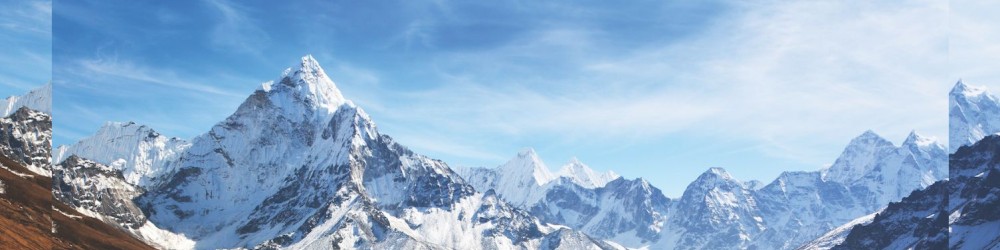 Society Partners Page