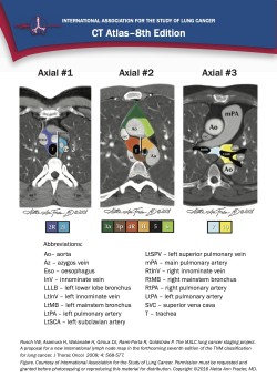 Staging Laminate Reference Cards, 8th Edition Cover