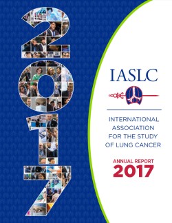 Informe anual - 2017