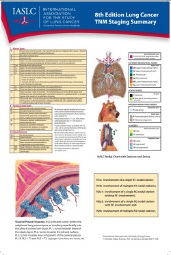 Poster 8th Edition Lung Cancer TNM Staging Summary Poster